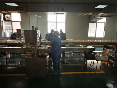 陕西五大供应链行业标杆企业创始人齐聚，分享数字化转型之路与西安网站建设经验