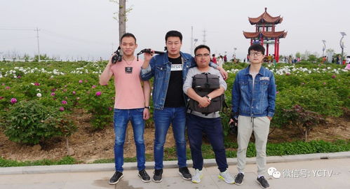 影视宣传，我们是认真的——西安网站建设助力影视行业腾飞